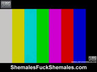 Mix Of vids By Shemales Fuck Shemales